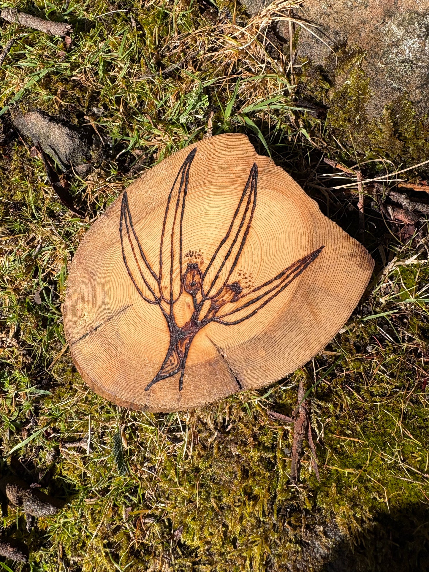 Made by Millie gum leaf coaster