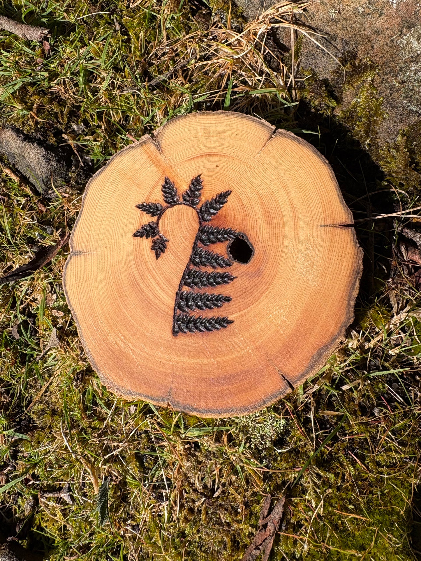 Made by Millie fern coaster