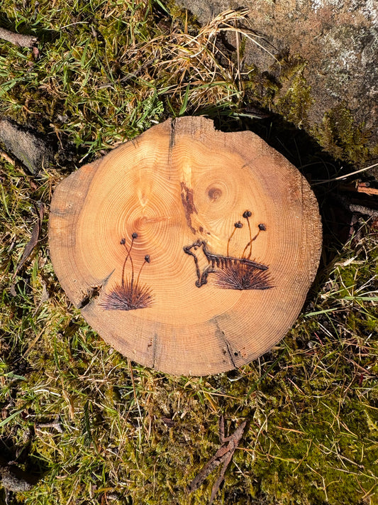 Made by Millie thylacine coaster