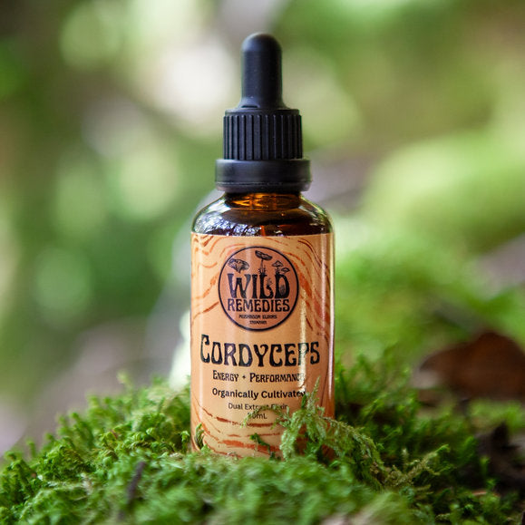 Organic Cordyceps Tincture