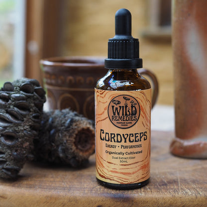 Organic Cordyceps Tincture